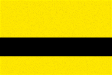 Yellow/Black