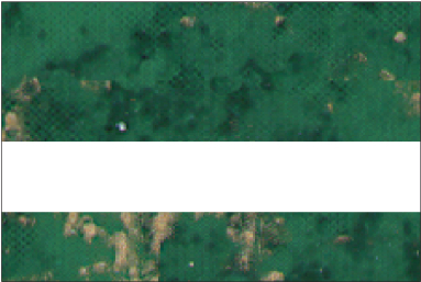 Verde Green Gold Fleck Marble/Bone White