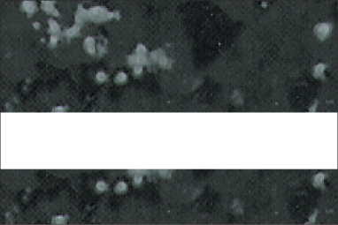 Deep Charcoal Marble/Bone White