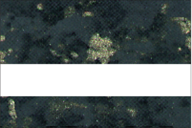 Deep Charcoal Gold Fleck Marble/Bone White