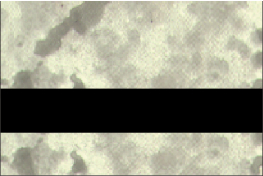 Glacier Blush Marble/Black