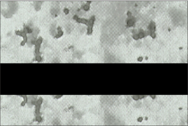 Platinum Marble/Black