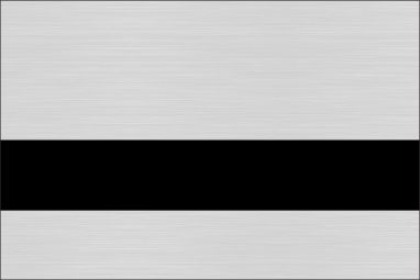 Brushed Aluminum/Black