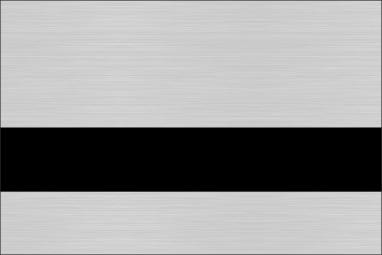 Brushed Silver/Black