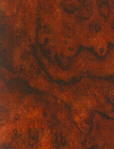 ST 0202 Florentine Burl White