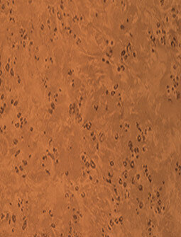 ST 2531 Mustard Burl