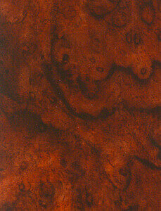 ST 0202 Florentine Burl White