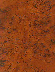 ST 0280 Cruiser Burl Black