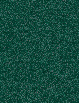 ST 0299