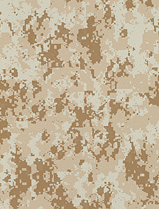 ST 2449 Digicam Desert Storm