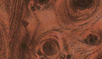 Burlwoodtile