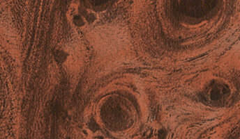 Burlwoodtile